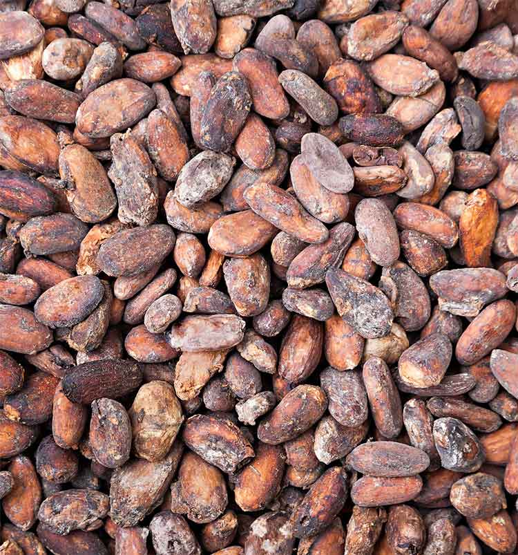 Cacao Beans - Fermented - Solar Dried - Grade AAA - Java - 50g