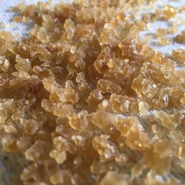 Dehydrated Milk Kefir Grains 7g