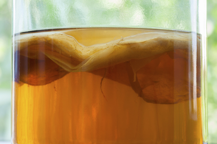 Kombucha with SCOBY (Symbiotic Culture of Bacteria and Yeast) - 500mL