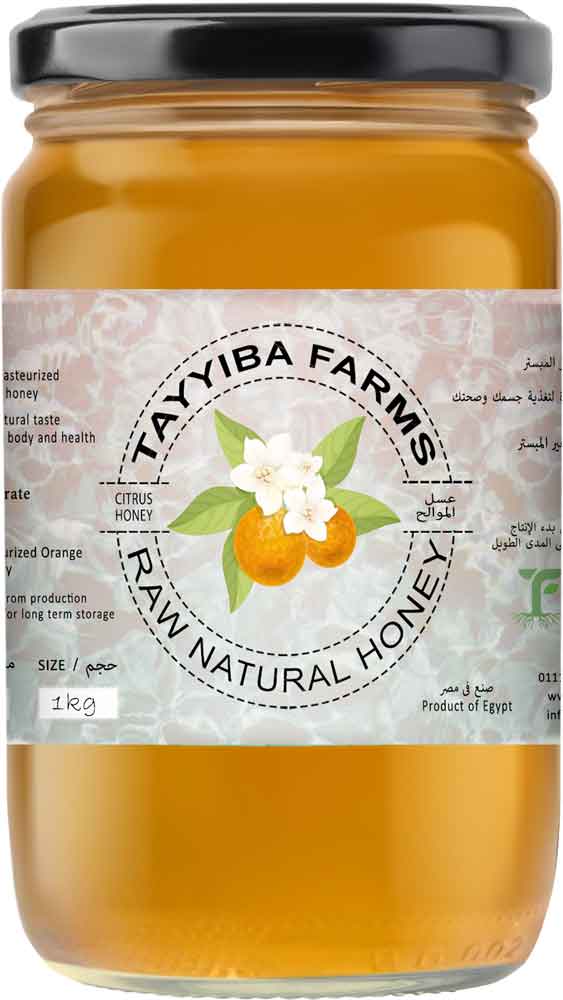 Citrus Honey - Raw Unpasteurized - New Season 2026