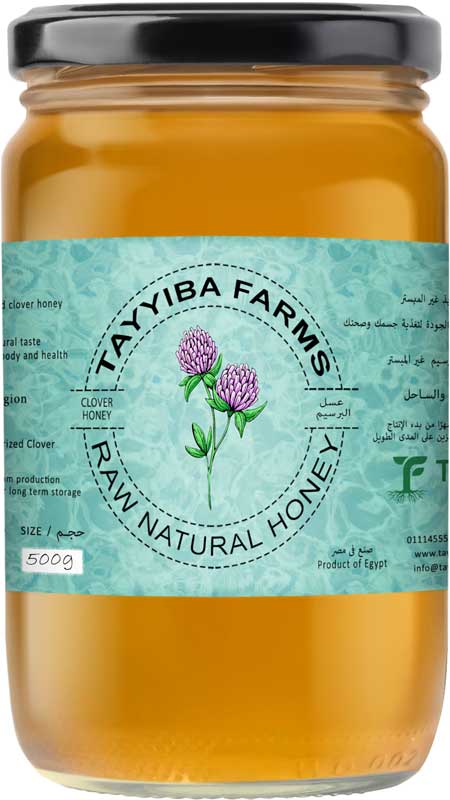 Clover Honey - Raw Unpasteurized - 2026