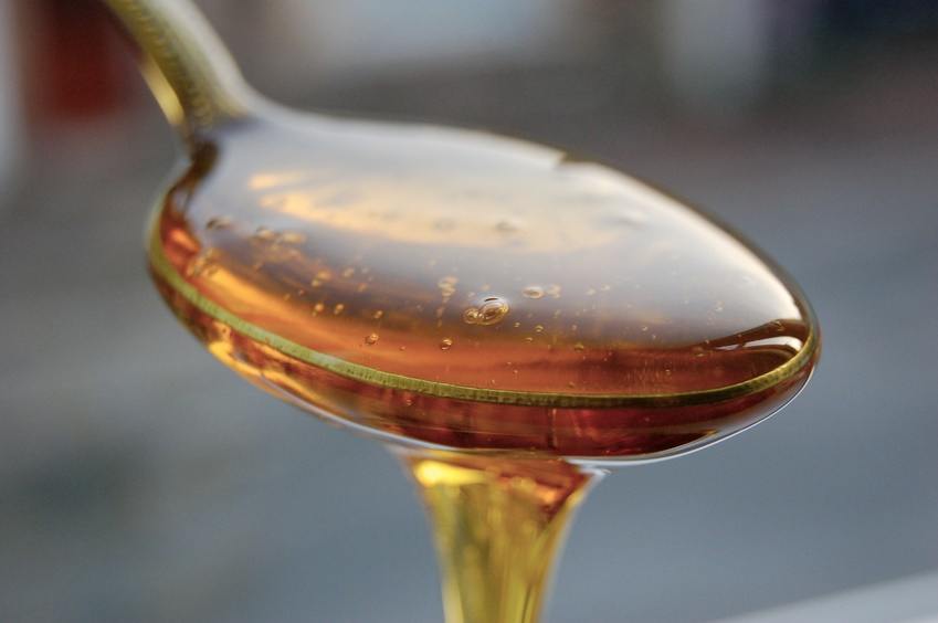Marjoram Honey - Raw Unpasteurized - New Season - 2026