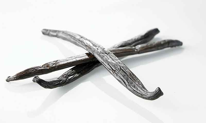 Sumatra Vanilla Beans - 2026 - Fresh - Planifolia - Premium (A+++) - 2 Pods