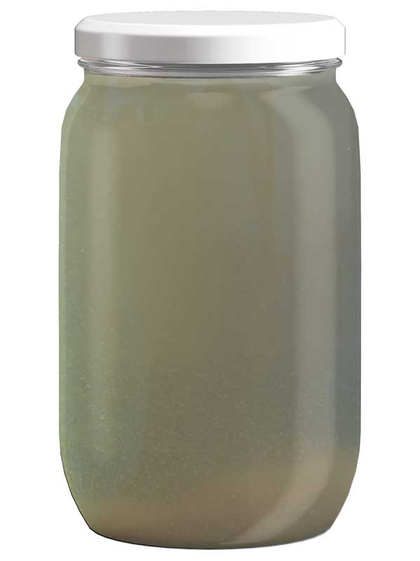 Wasserkefir - 3,5L - Erste Gärung